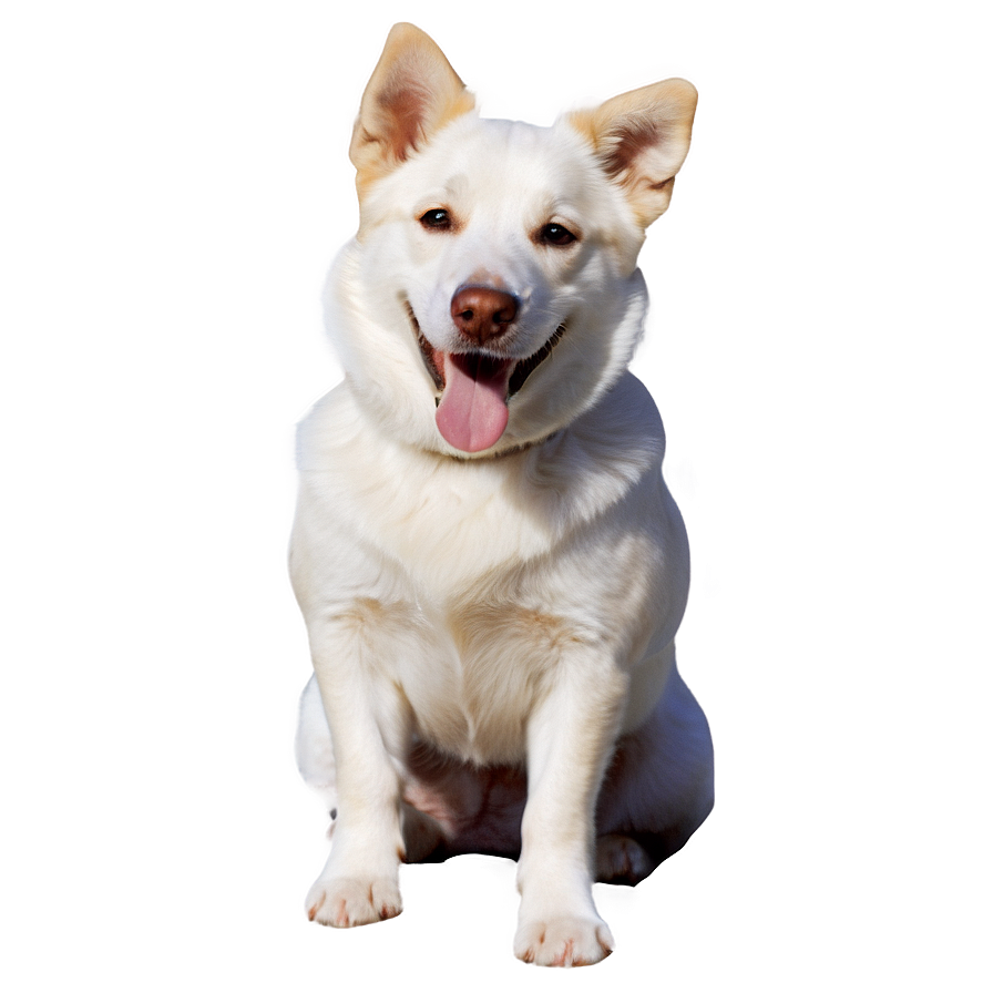 Dog Playing Transparent Png 05262024 PNG