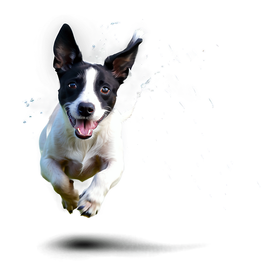 Dog Running In Water Png 06132024 PNG