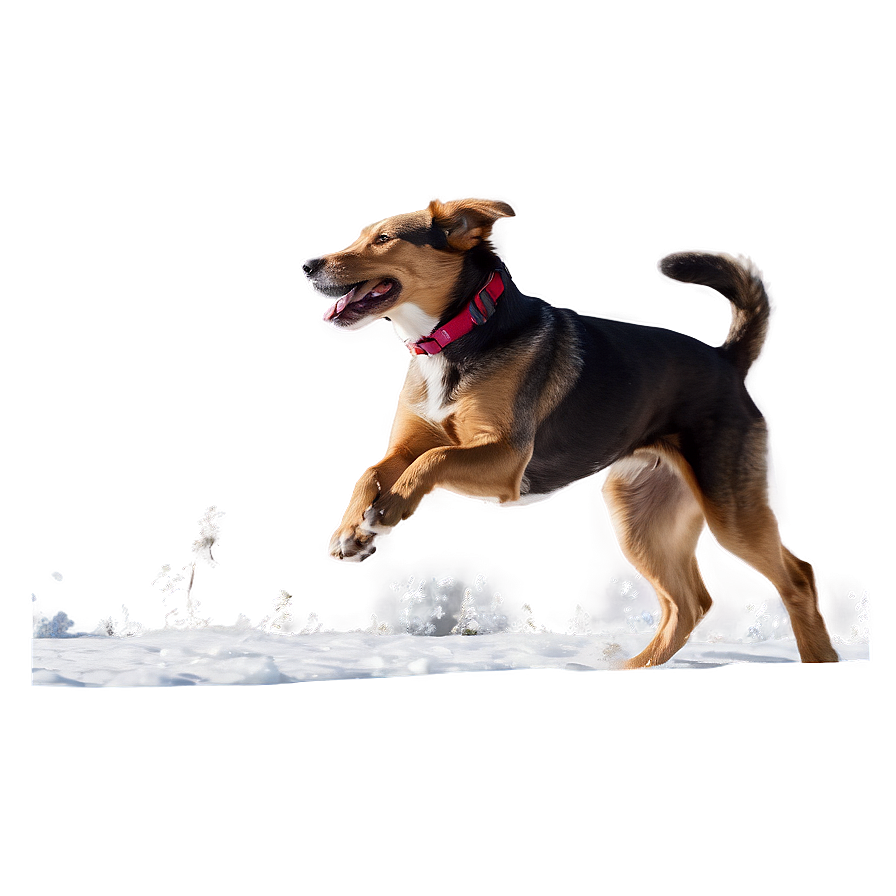 Dog Running In Winter Png Gyi89 PNG