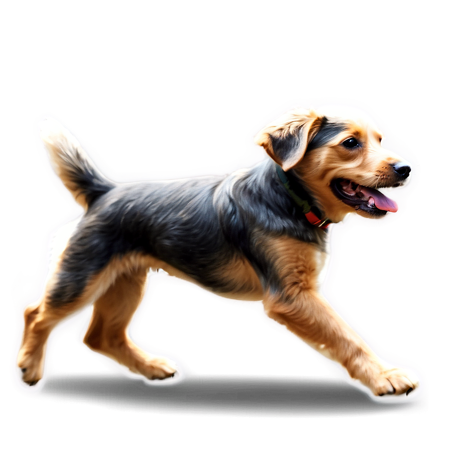 Dog Running Side View Png 06132024 PNG