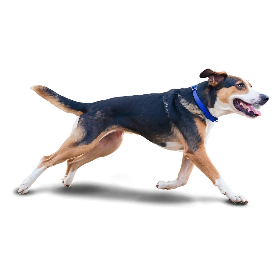 Dog Running Side View Png Fsp34 PNG