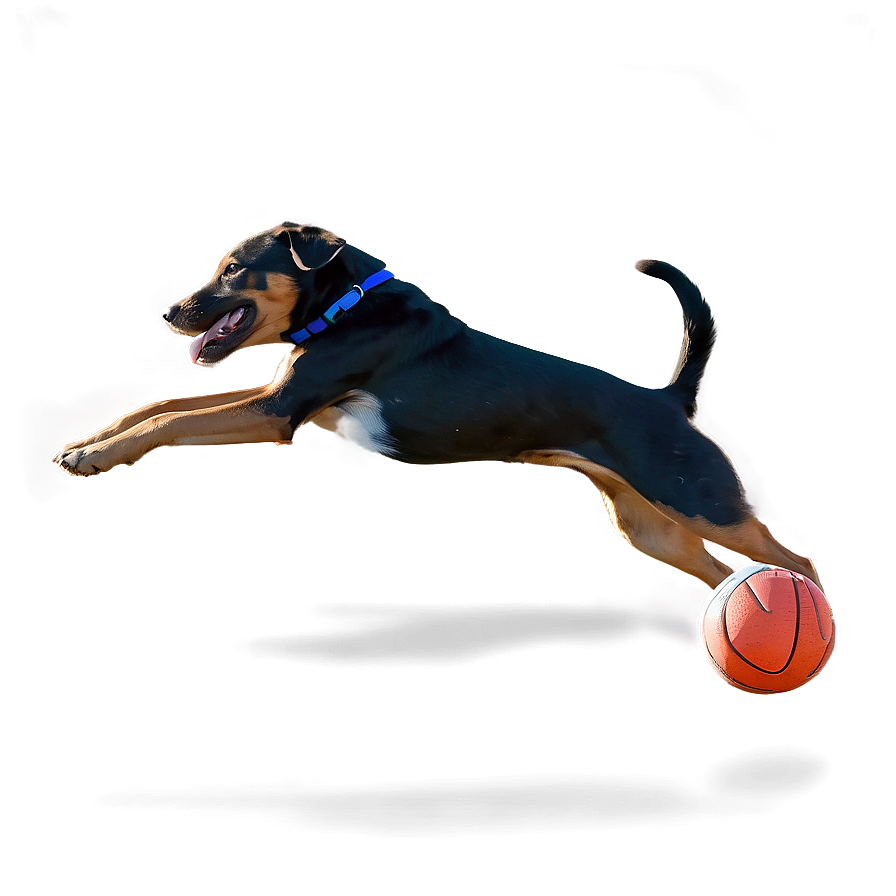 Dog Running With Ball Png Xje PNG