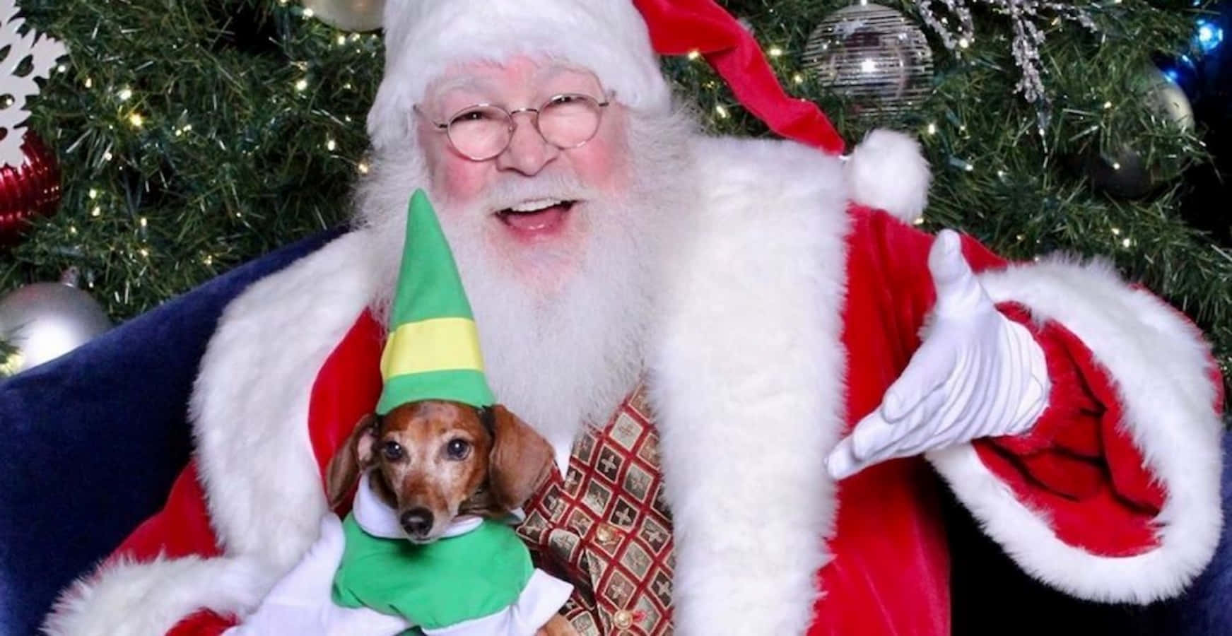 Niedlichesbild Eines Hundes Als Weihnachtsmann