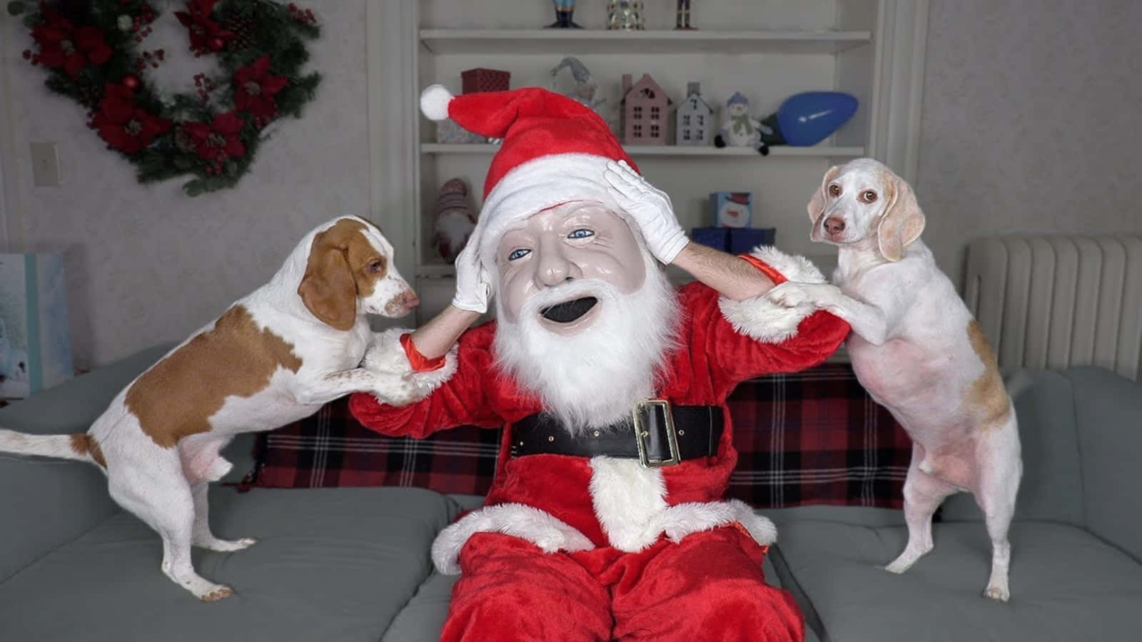 Dog Santa Pictures 1600 X 900 Picture