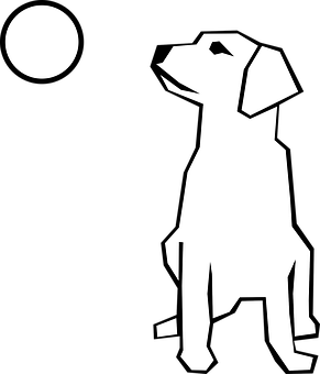 Dog Silhouette Gazingat Moon PNG