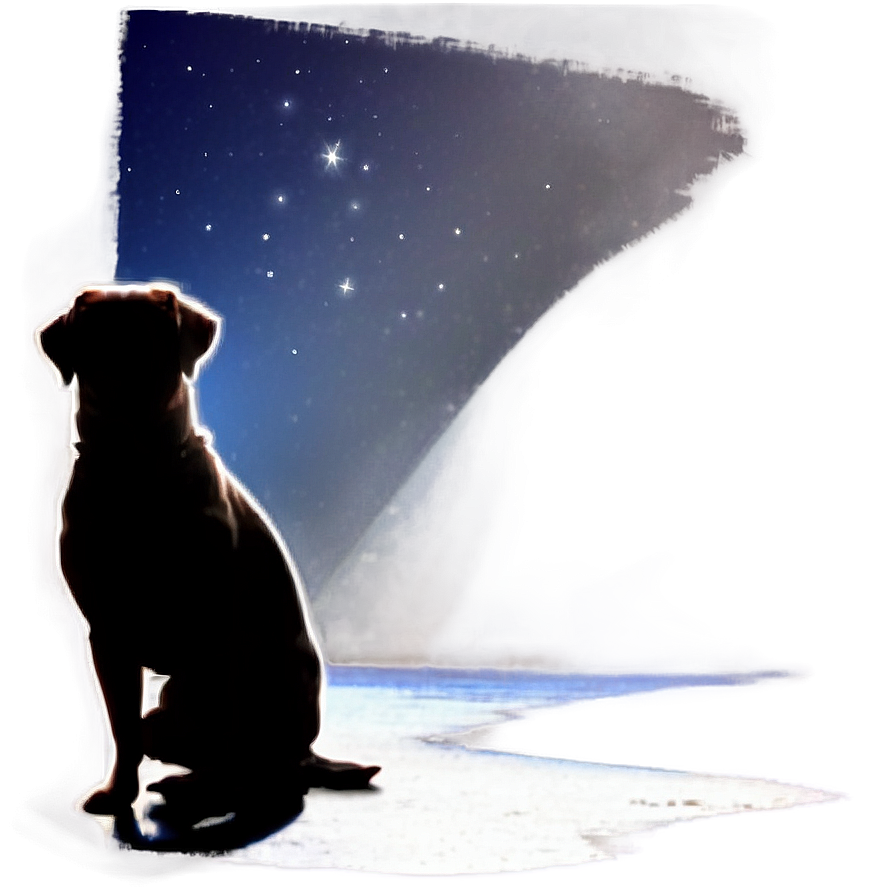 Dog Silhouette In Moonlight Png Jng PNG