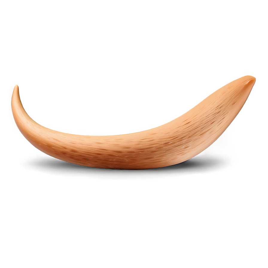 Dog Tail Png 06242024 PNG