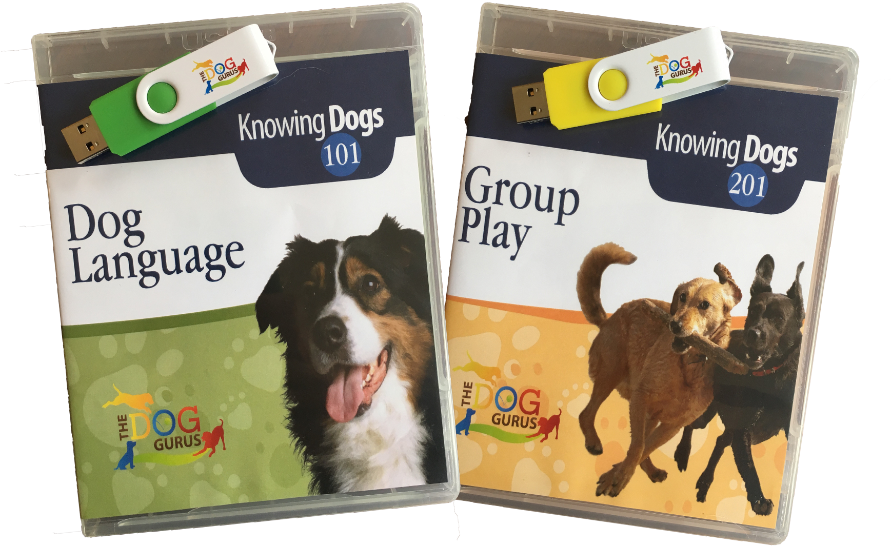 Dog Training Course Materials U S B Drive PNG