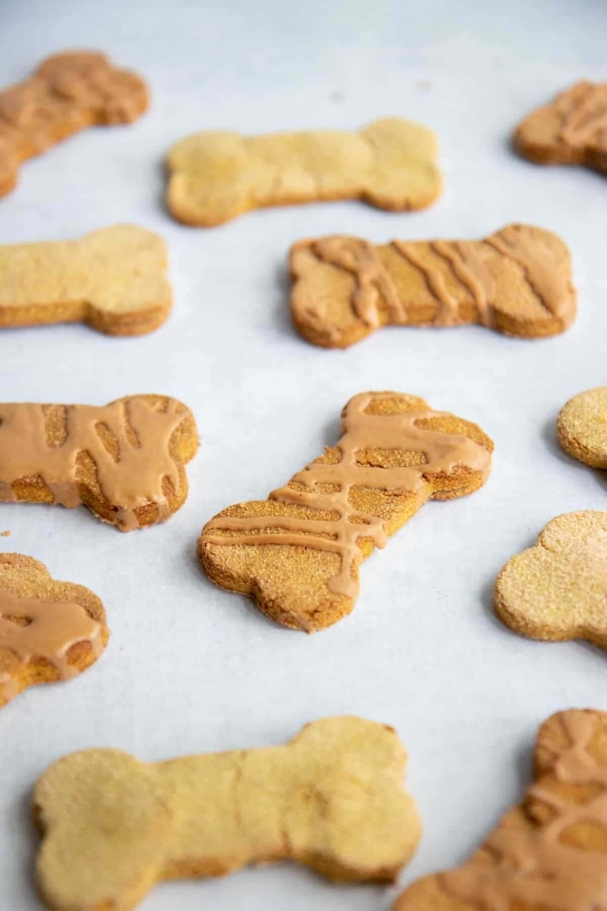 Dog Treat Bone Cookies With Peanut Butter Picture