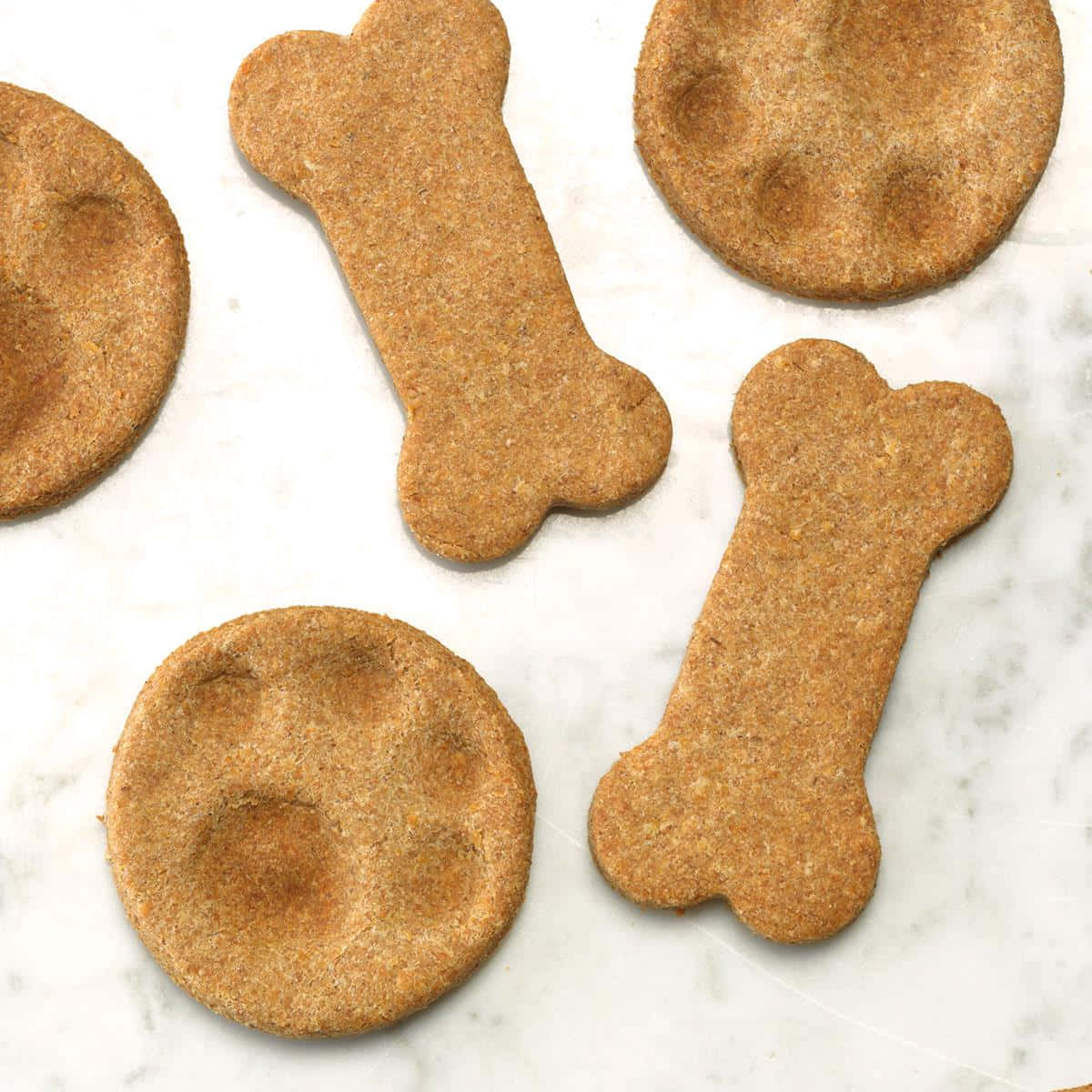 Dog Treat Pictures