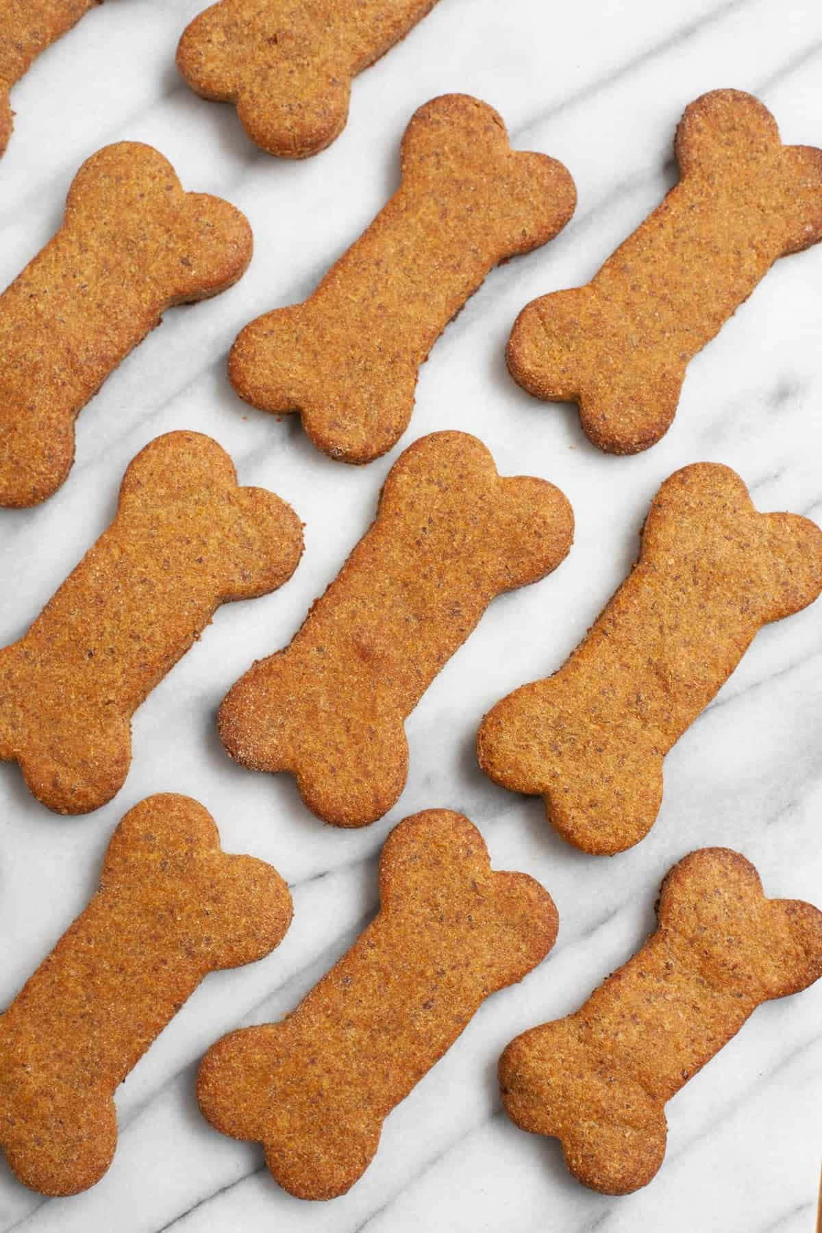 Close-up view of delicious and nutritious dog treats.