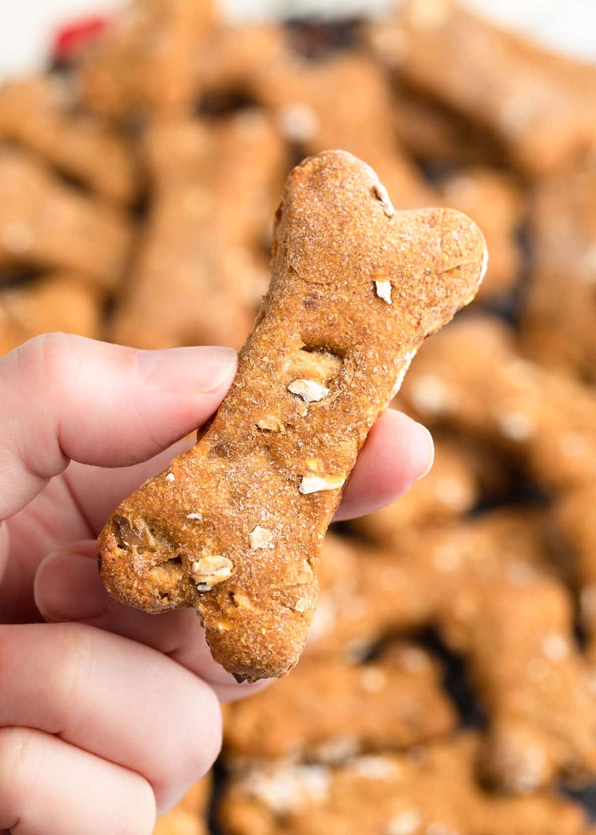 Hund Treat Bone Cookies Med Nødder I Fingre Billede Tapet