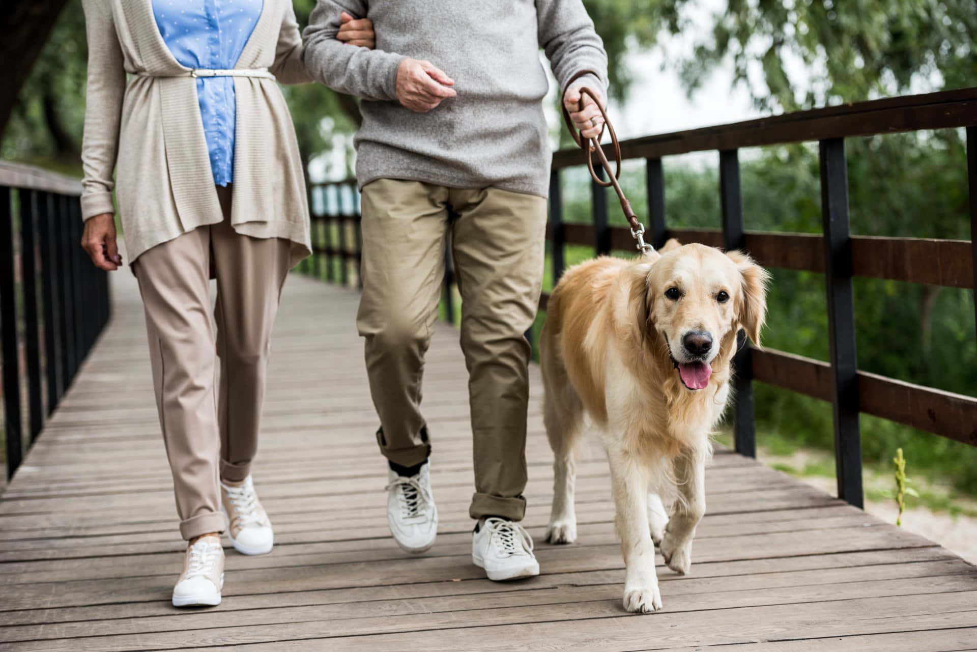 Couple With Golden Retriever Dog Walking Picture