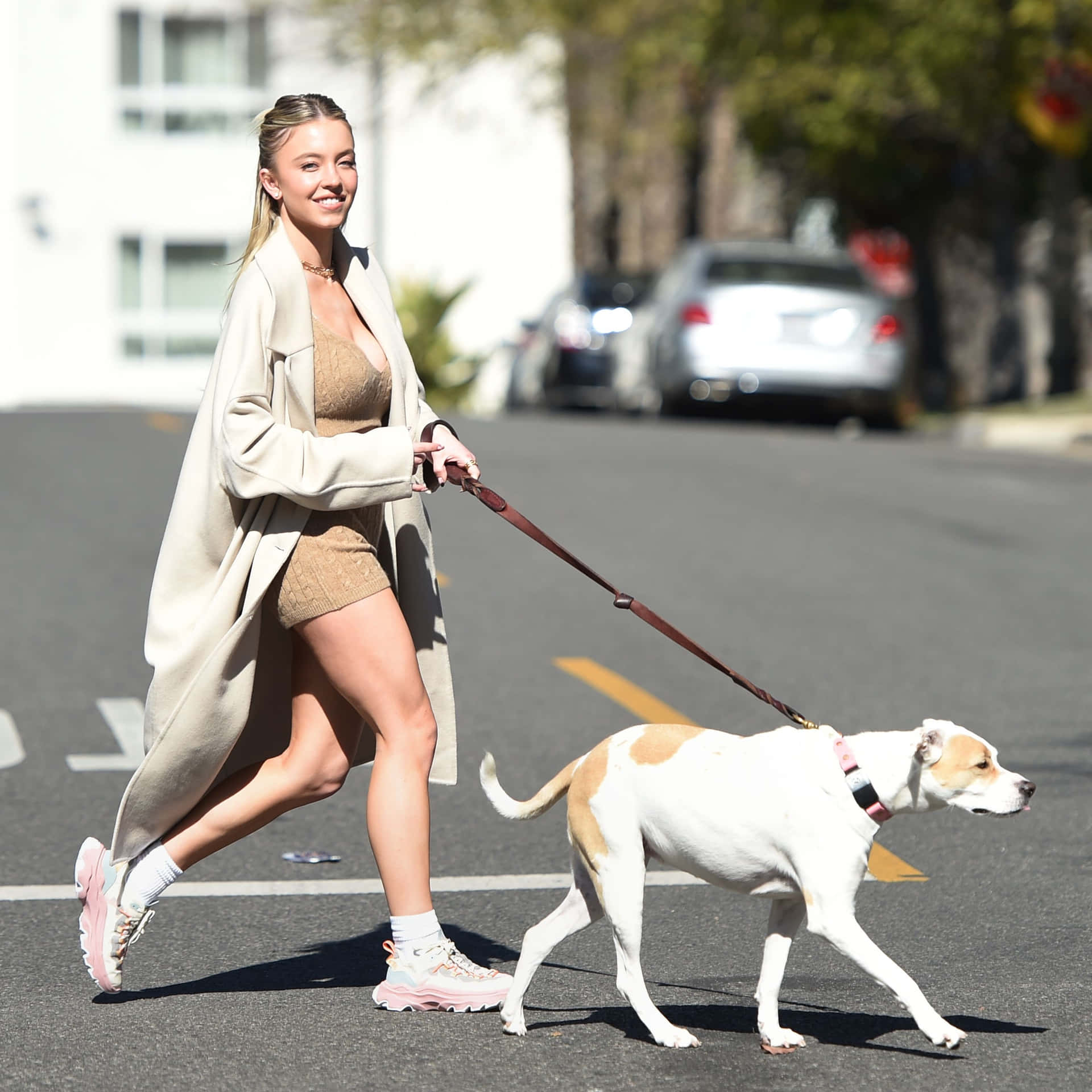 Dog Walking With Sydney Sweeney Picture