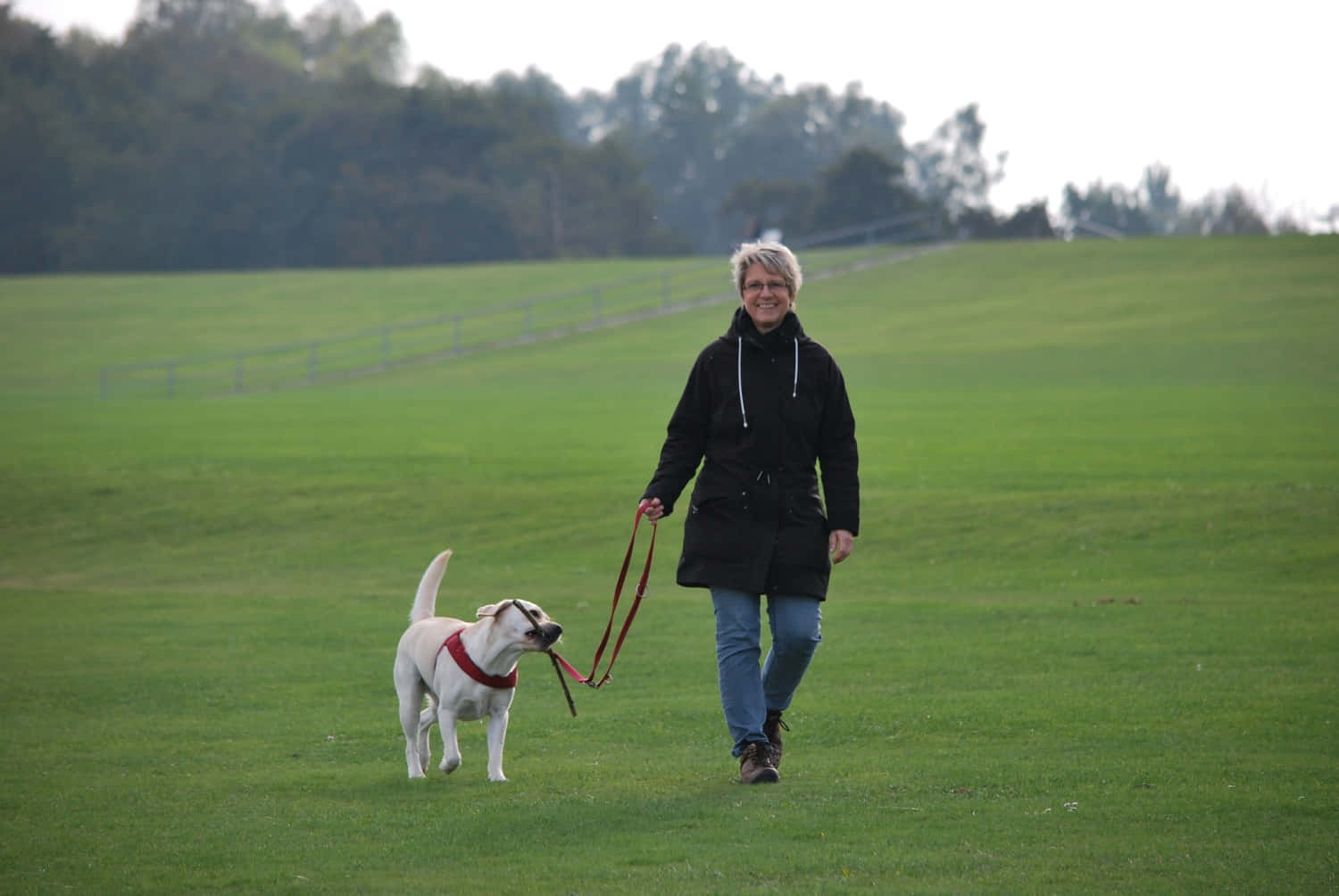 Woman With Dog Walking Picture