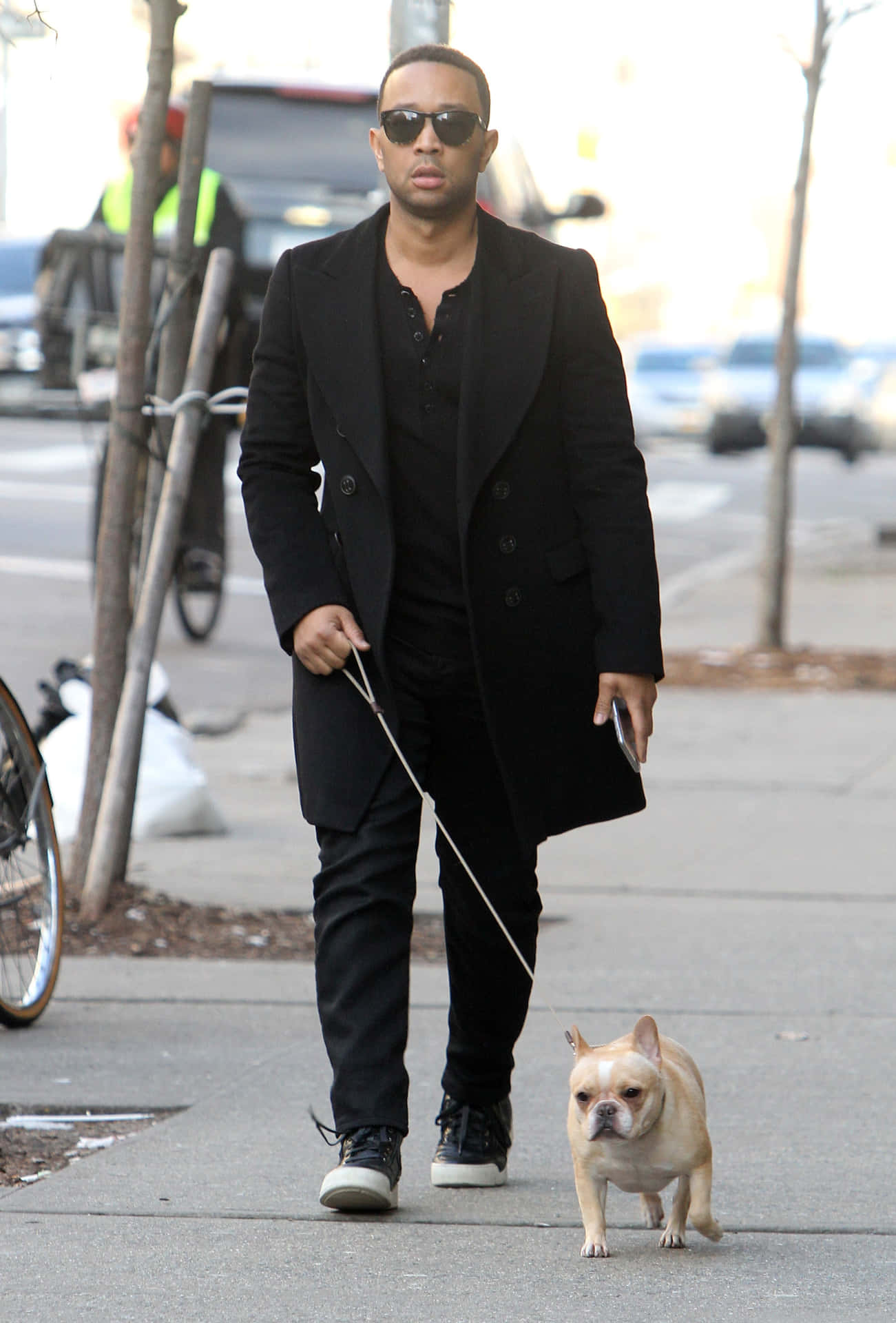 Dog Walking With Man In Formal Attire Picture