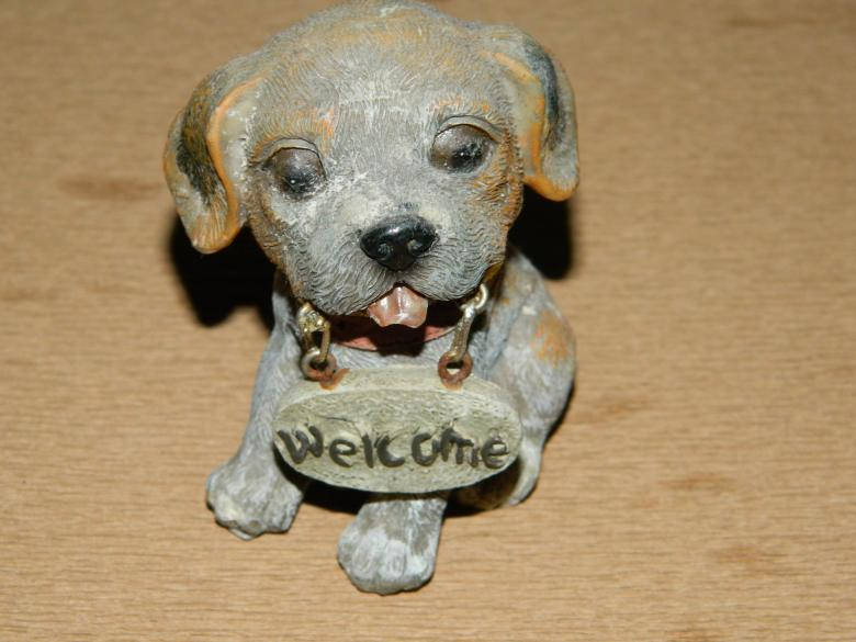 Dog With Welcome Sign Wallpaper