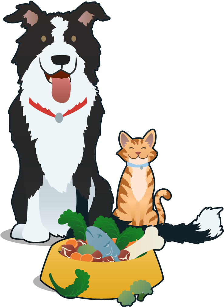 Dogand Cat Friends With Food Bowl PNG