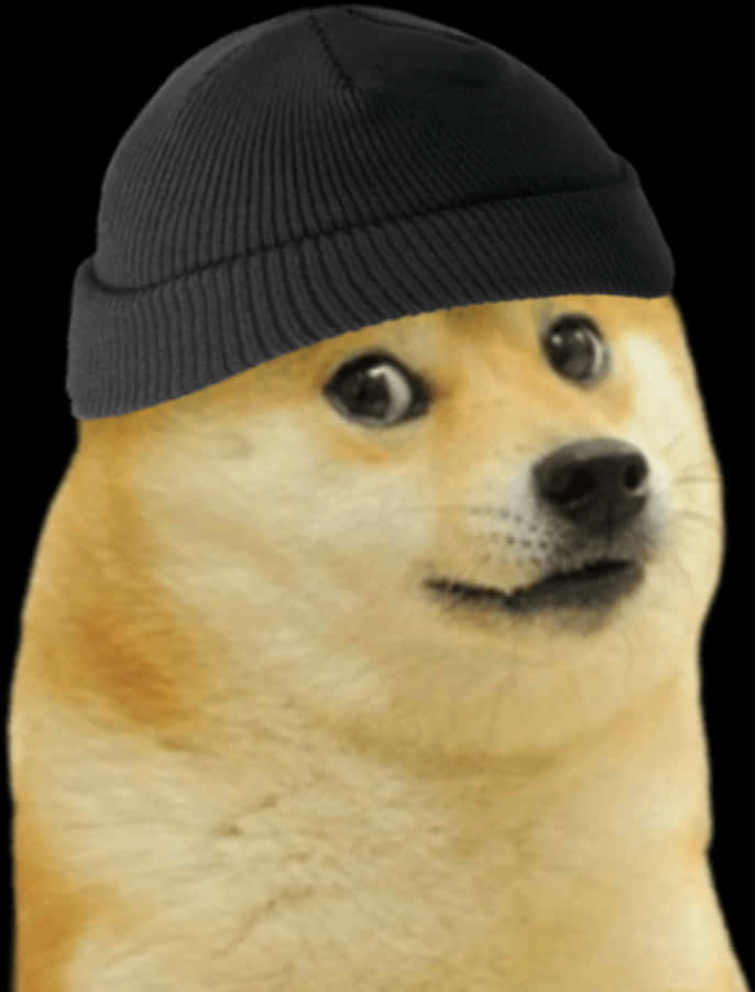 Doge In Beanie Meme.jpg PNG