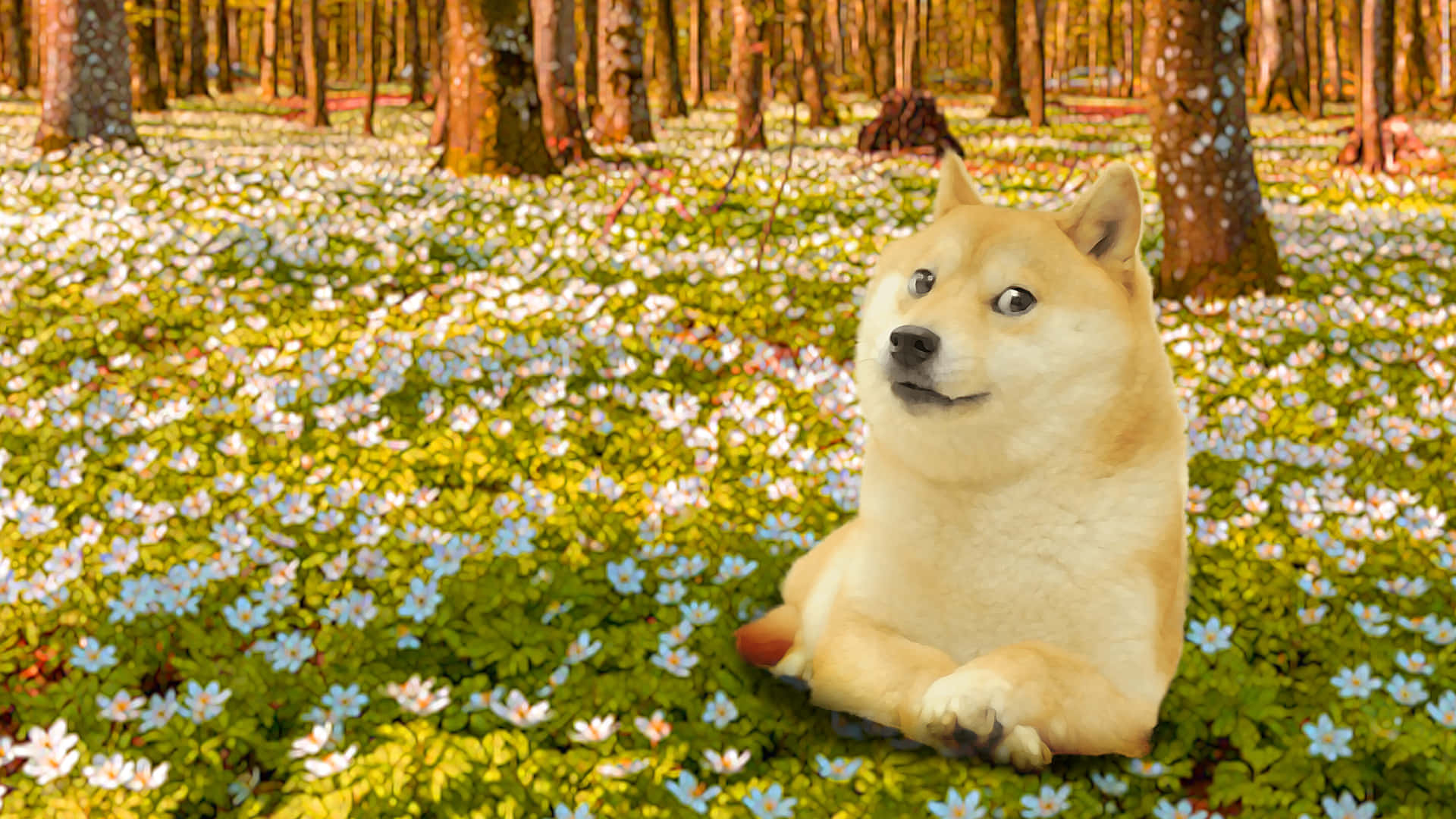 Doge In Flower Field Wallpaper