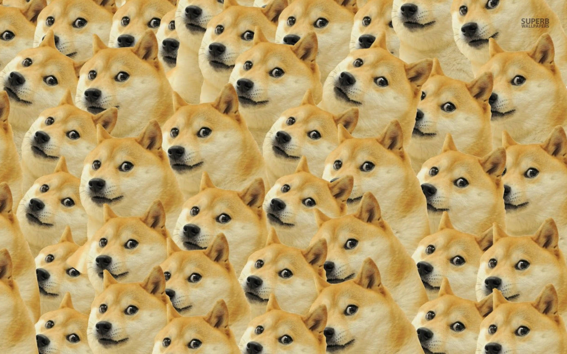 Doge Meme Faces Pattern Wallpaper