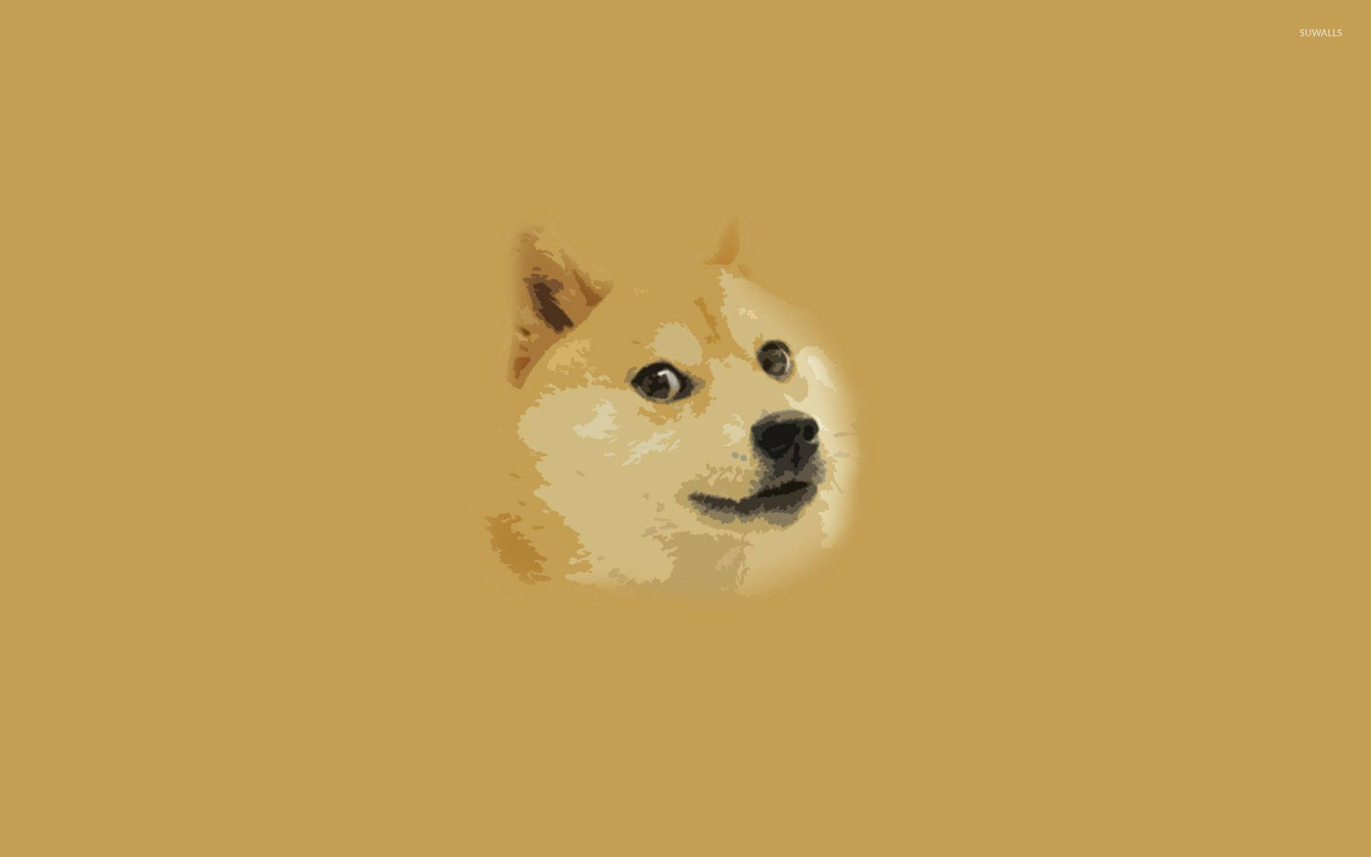 Painted doge dog dank meme wallpaper.