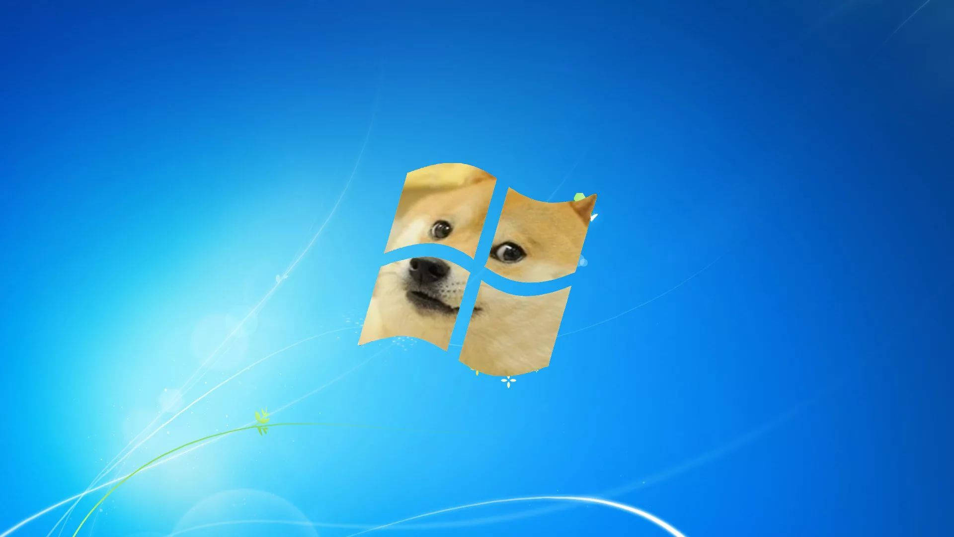 Doge meme on windows logo, dog's face in desktop.