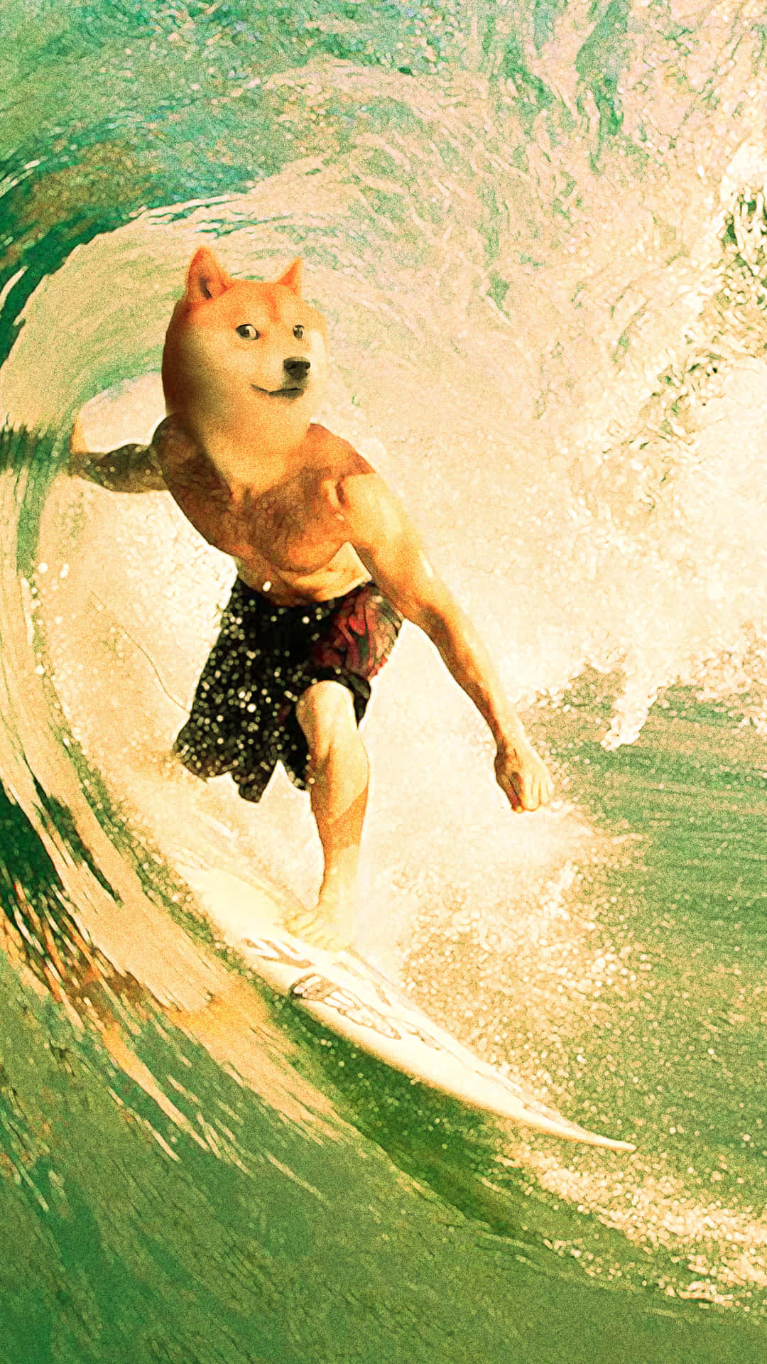 Doge Surfer Wallpaper