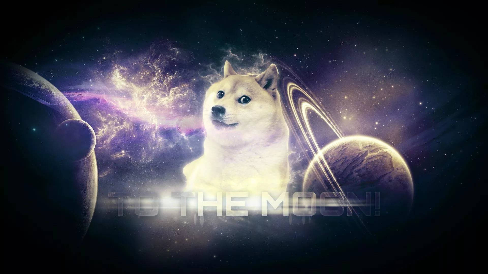 Doge To The Moon Meme Wallpaper