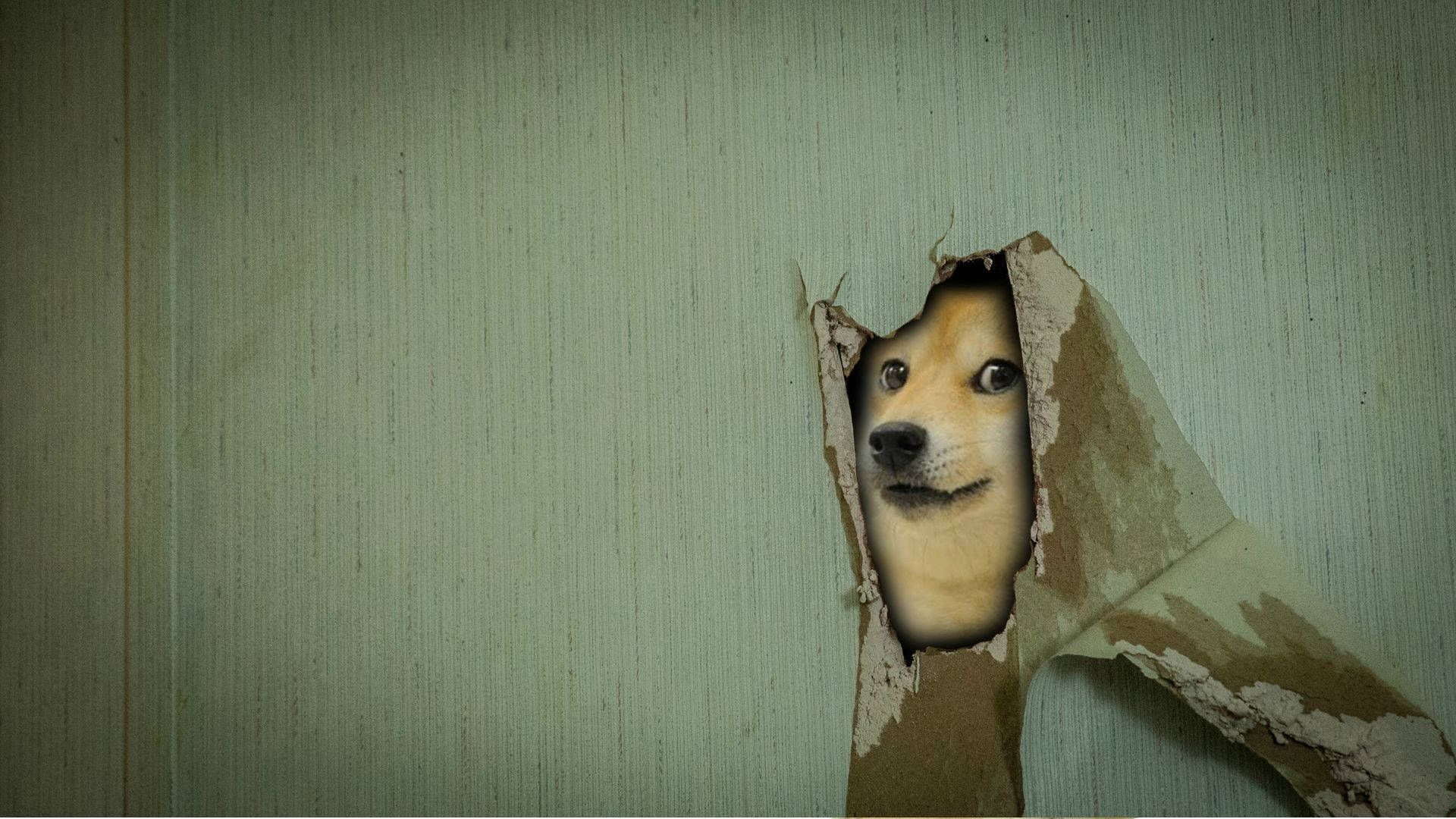 Woof, woof! I'm ready to break through this wall. Wallpaper