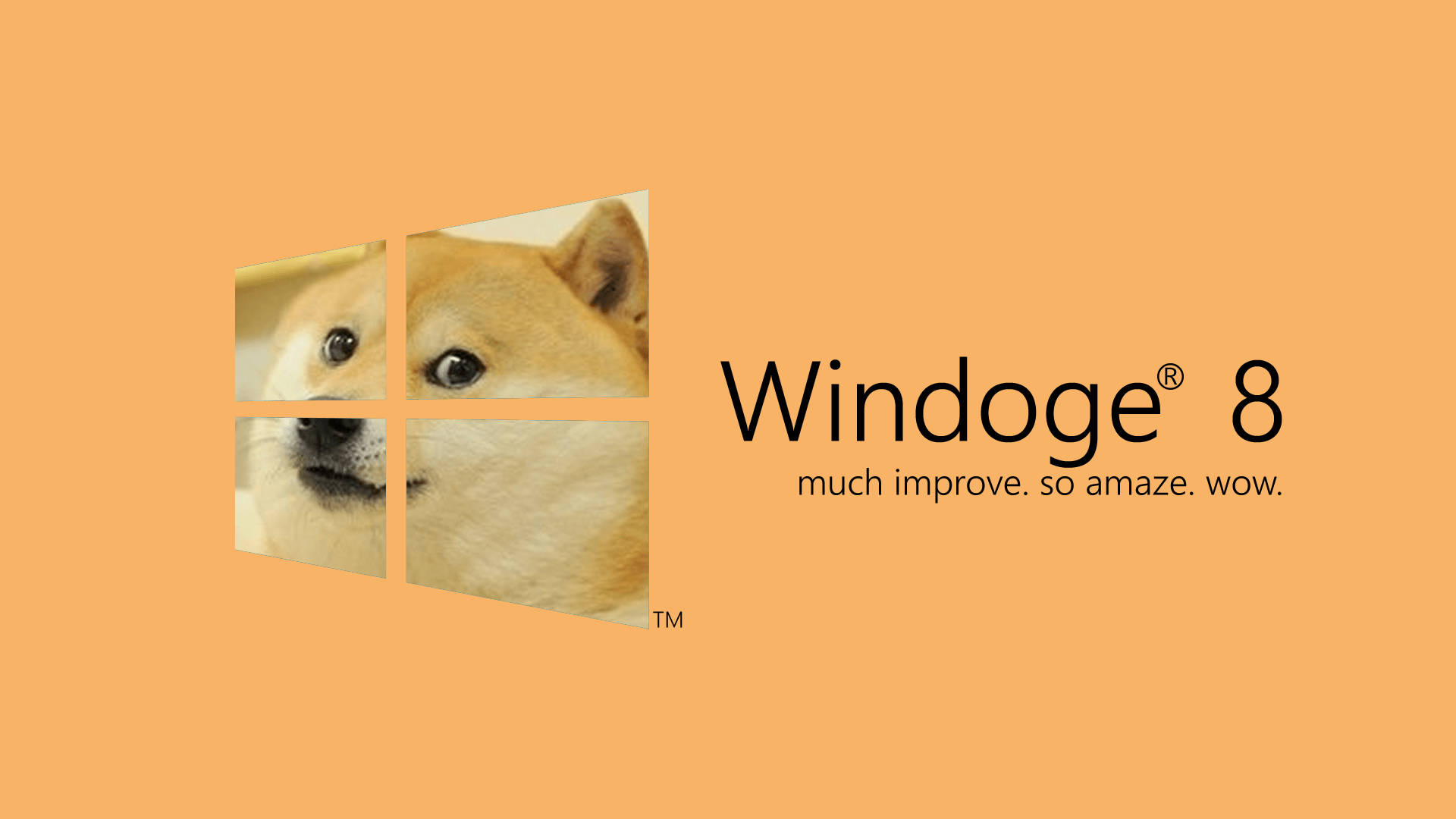 Doge meme as windows 8 desktop logo with his face on cut rectangles wallpaper.