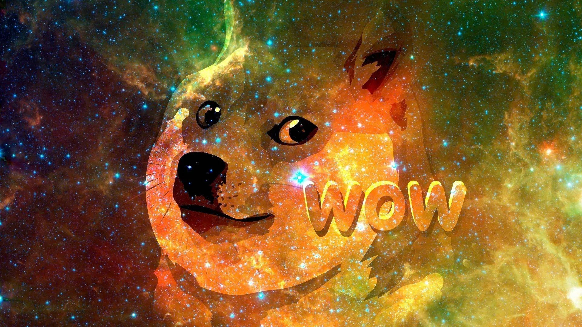 Doge meme on an orange starry background with funny wow expression.