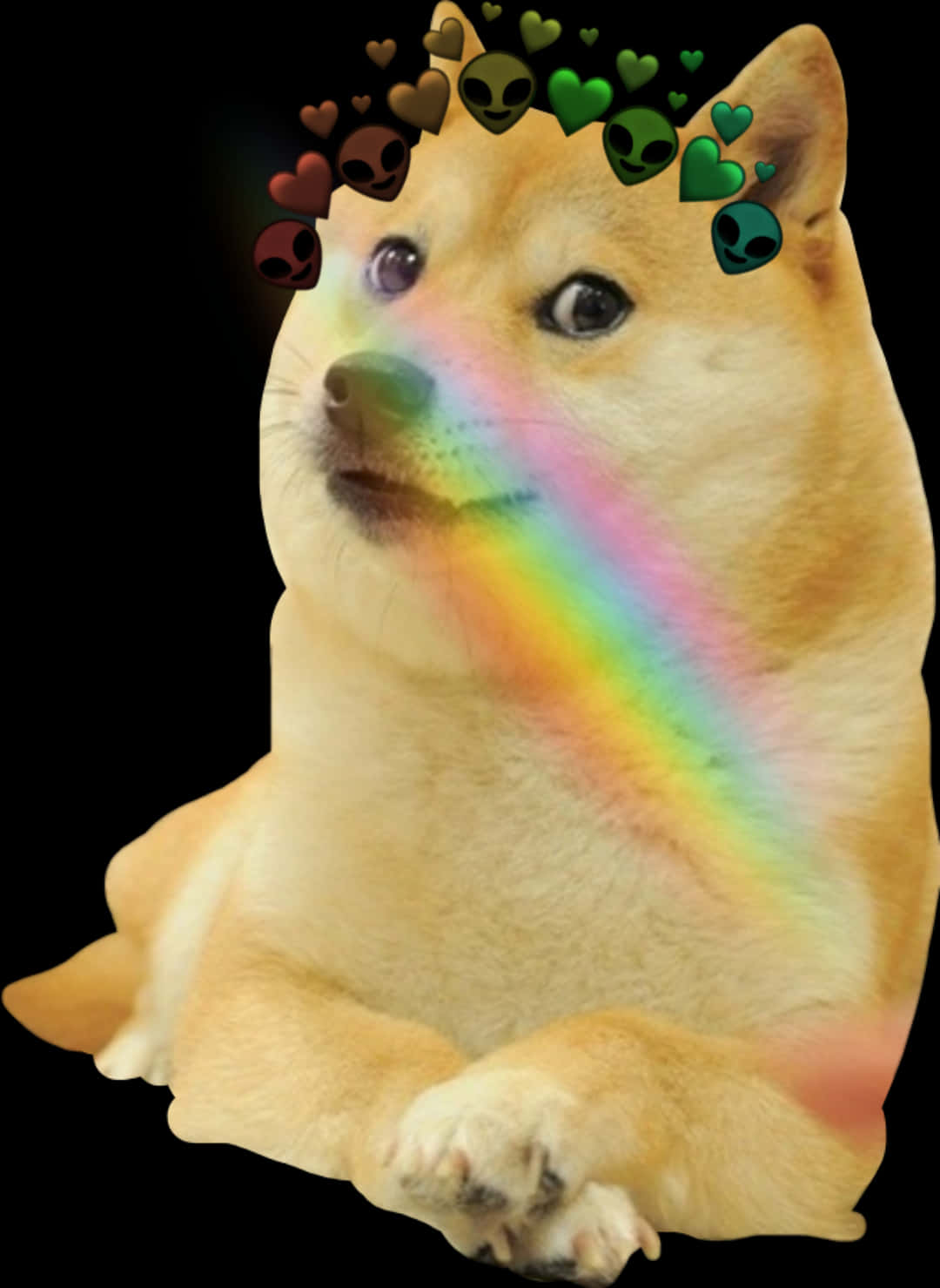 Download Doge_ Rainbow_ Meme.jpg | Wallpapers.com