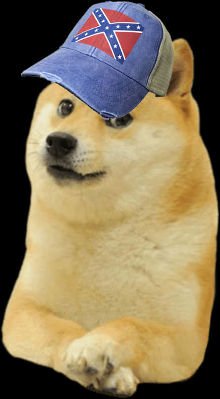 Doge_with_ Confederate_ Cap PNG