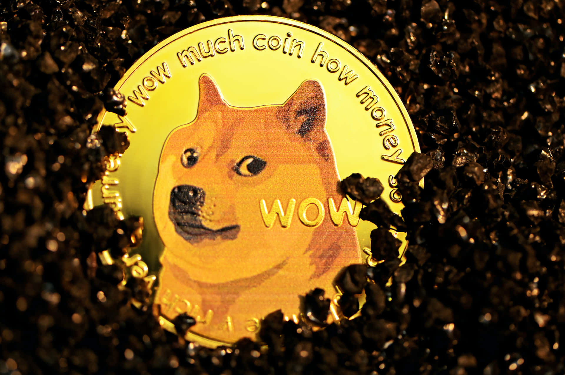 Dogecoin Soaring to the Moon
