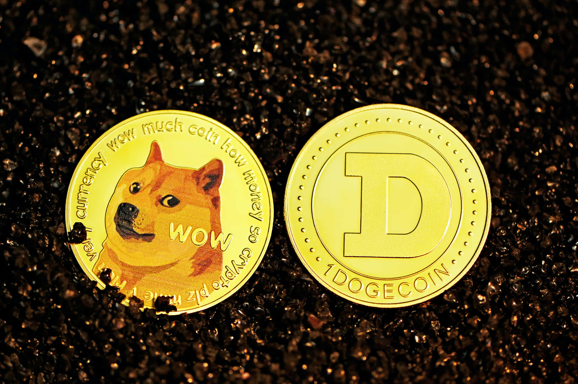 Dogecoin's journey to the moon