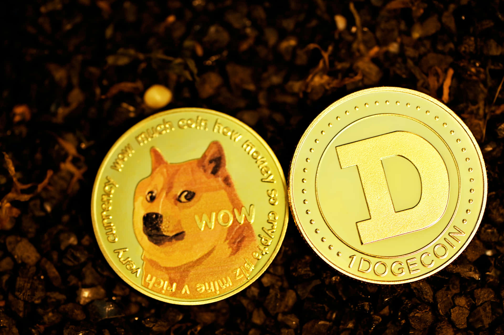 Dogecoin rocketing to the moon in the vast cosmos