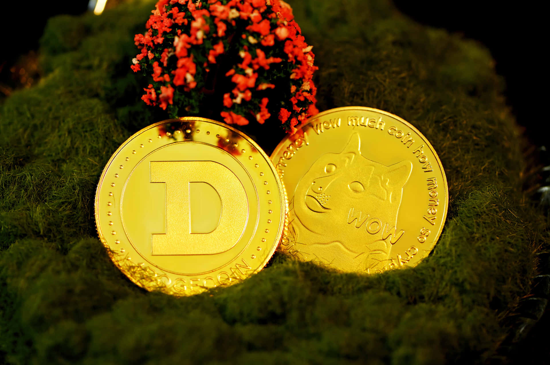 Dogecoin Rocketing to the Moon