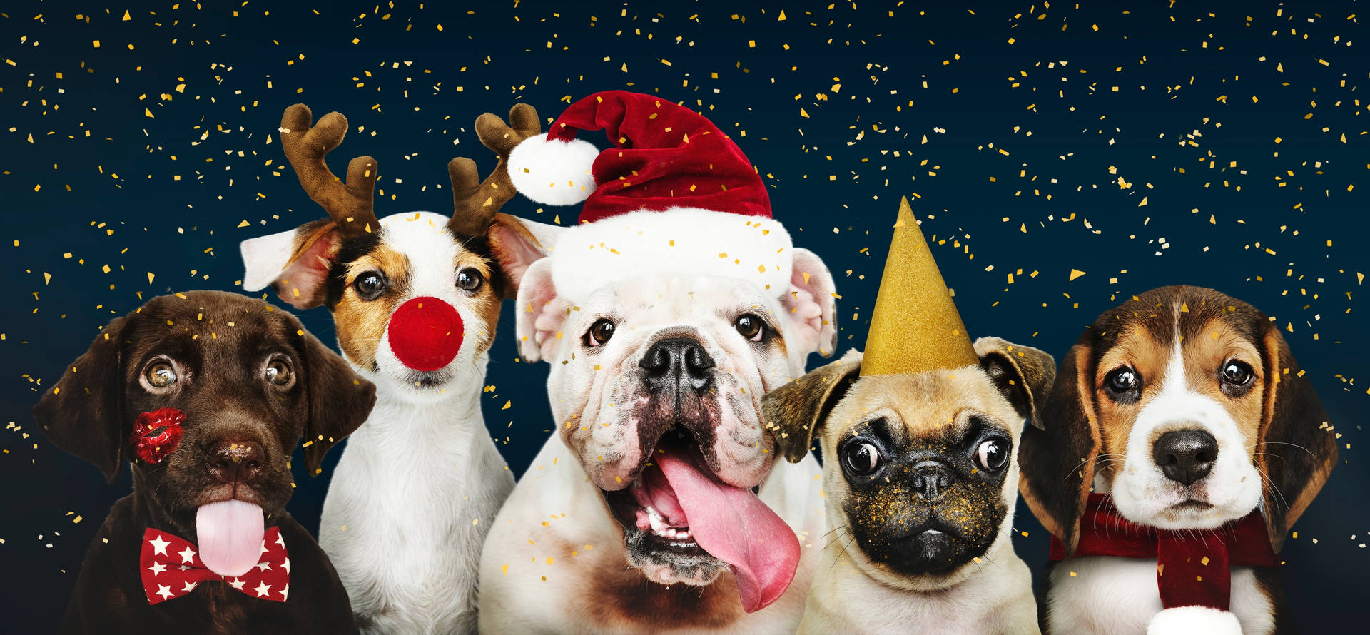 Dogs Christmas Party Background Wallpaper