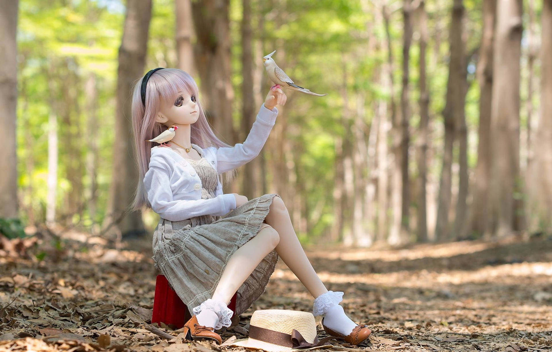 Doll With Bird In Forest Wallpaper
