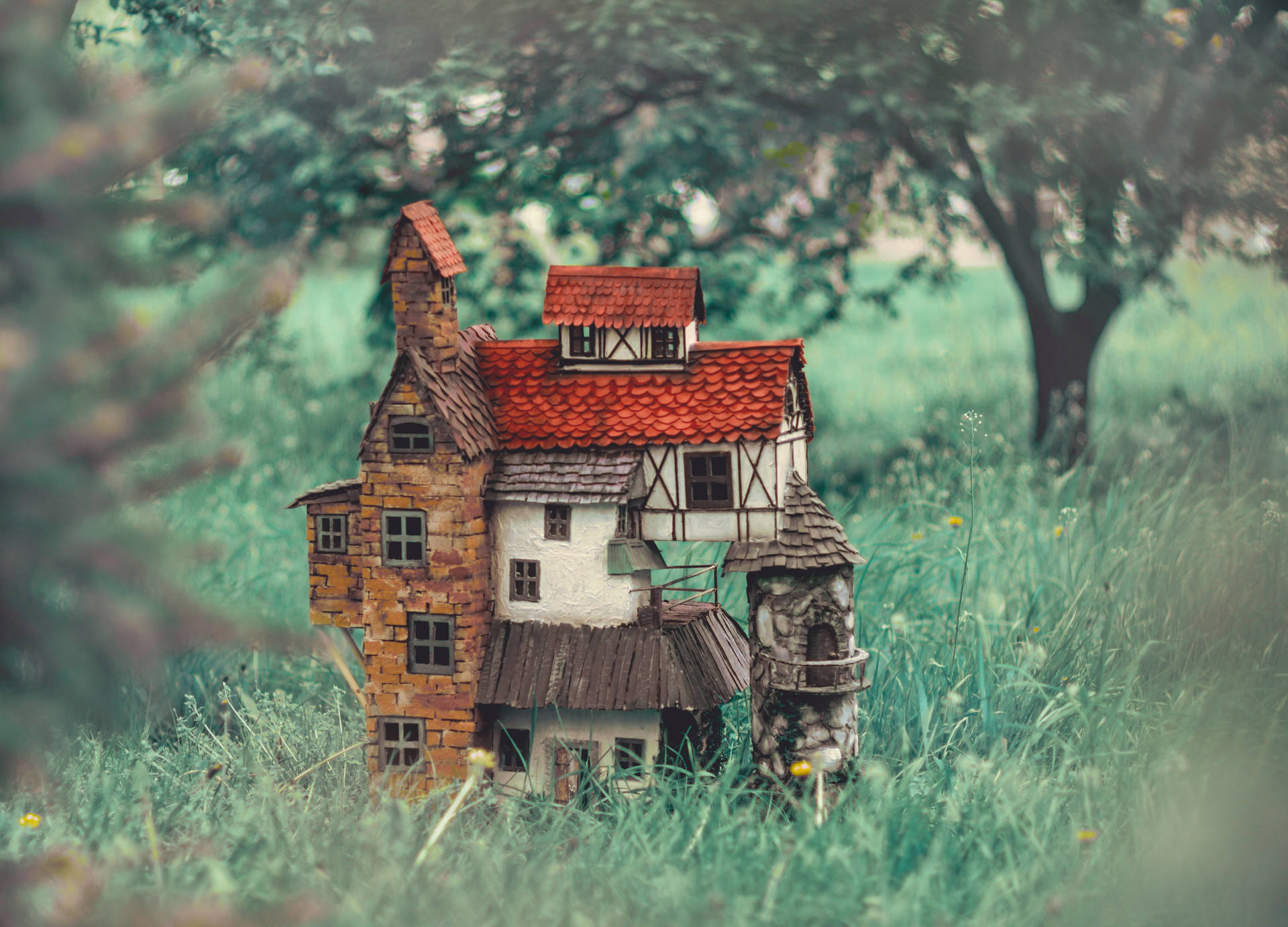 Dollhouse Outside The Forest