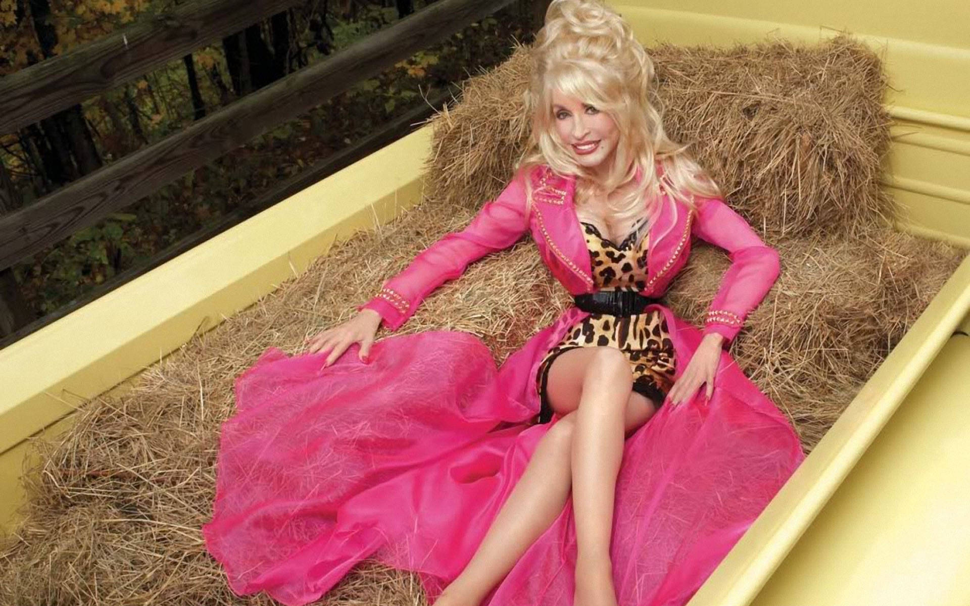 Dolly Parton Leopard Pink Tube Dress Wallpaper