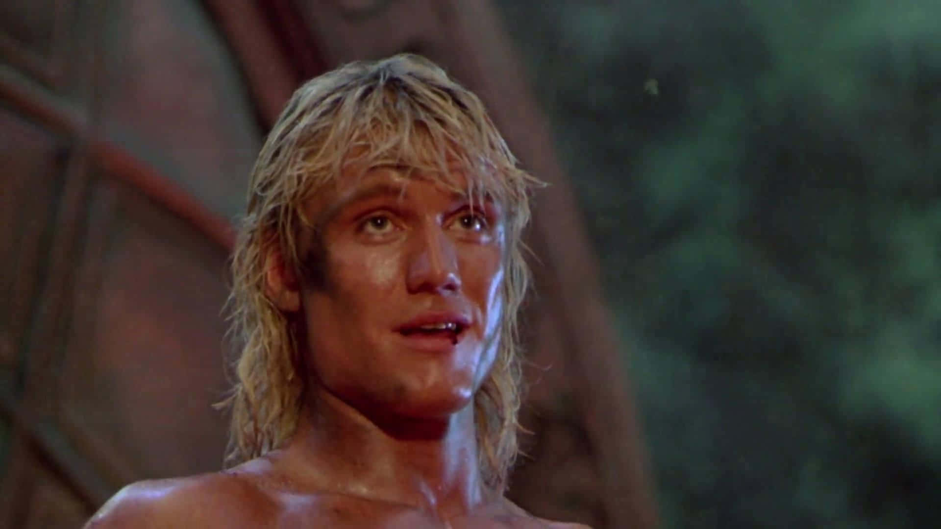 Dolph Lundgren, an icon in the action movie genre. Wallpaper