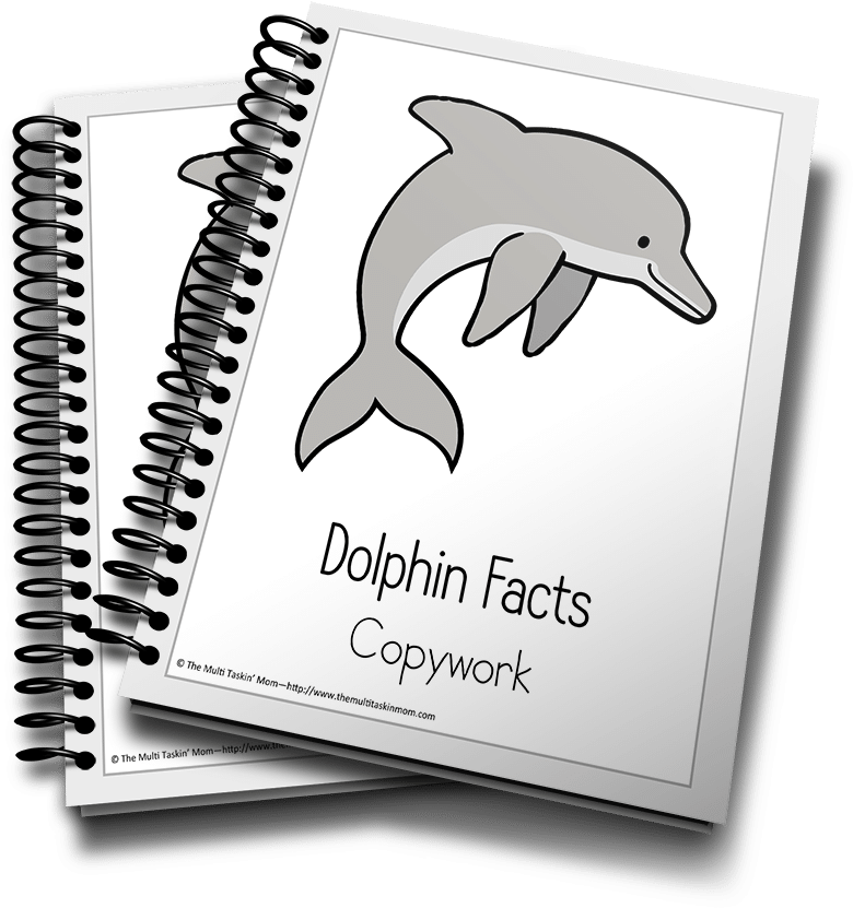 Dolphin Facts Copywork Notebooks PNG