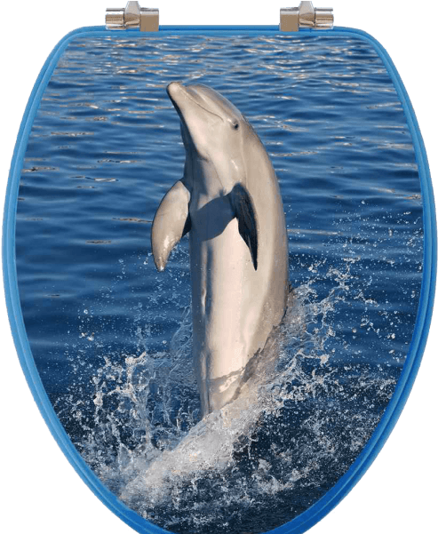 Dolphin Jumping Through Hoop PNG