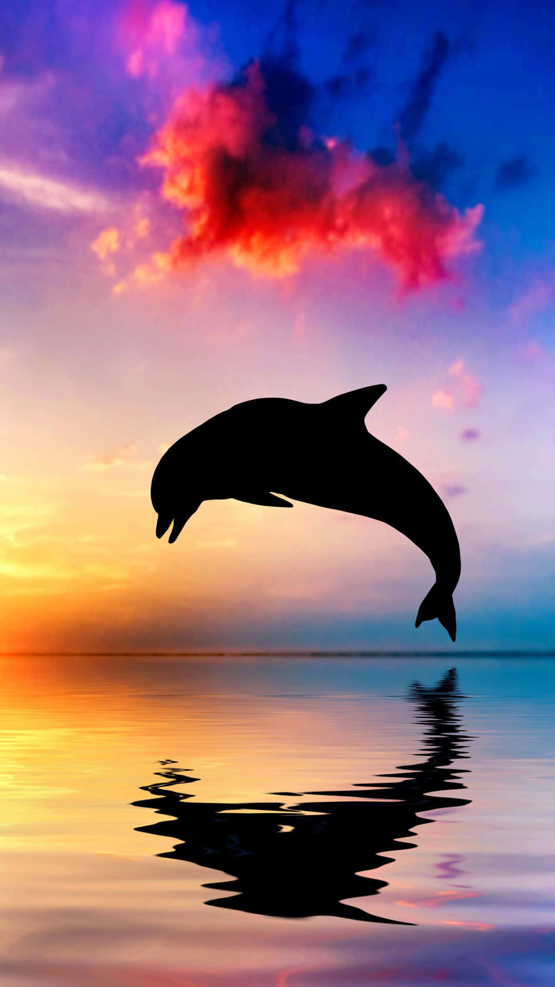 Dolphin Solnedgang 2160 X 3840 Wallpaper