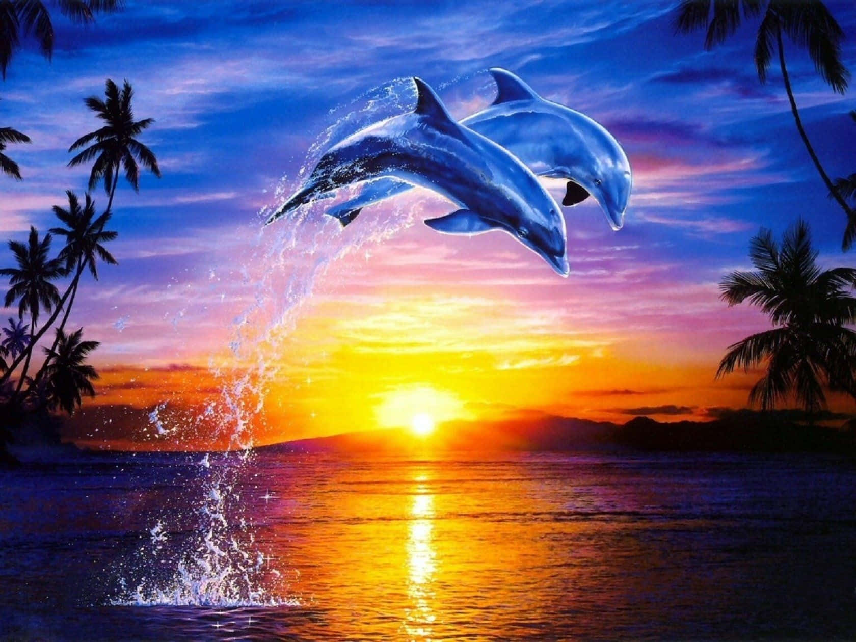 Dolphins art luminos sunset sea wave dolphin fantasy adrian  chesterman HD wallpaper  Peakpx