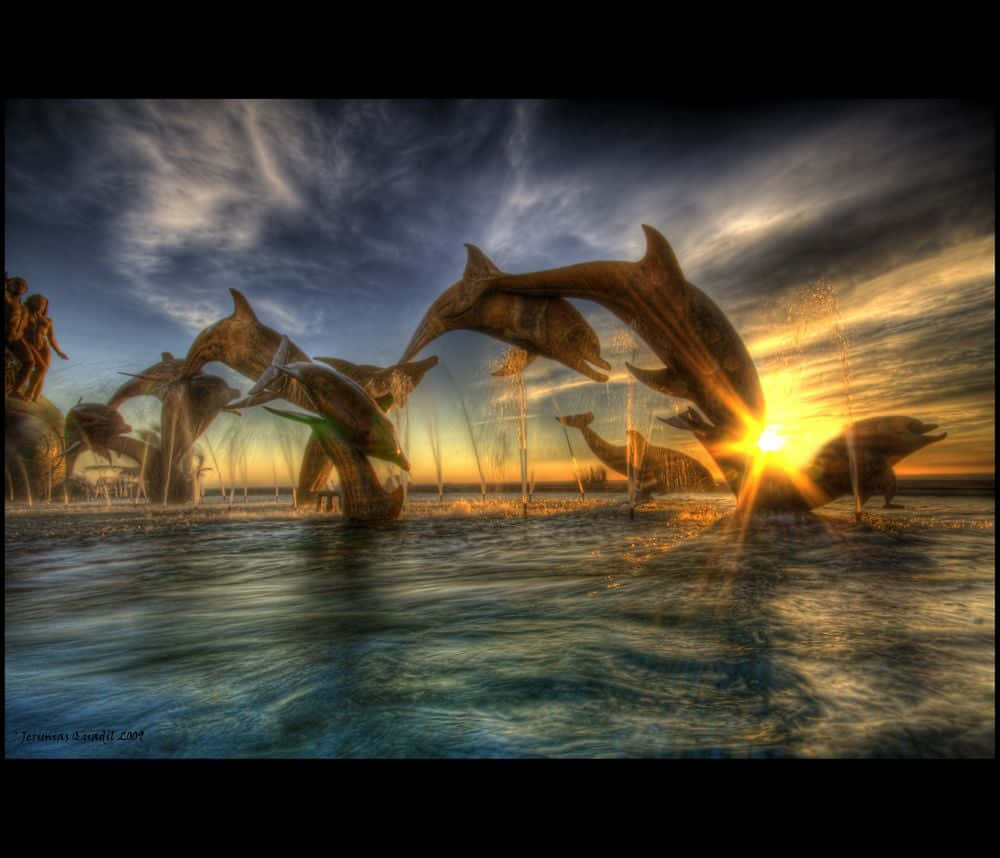 Högdynamisk Bild Av Delfin-solnedgång. Wallpaper