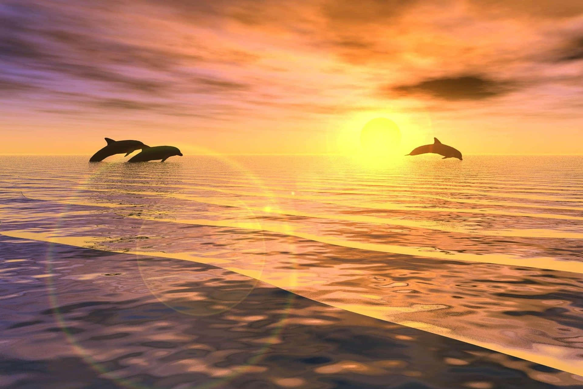 "Witnessing the magic of the sun setting into the sea with a playful dolphin" Wallpaper