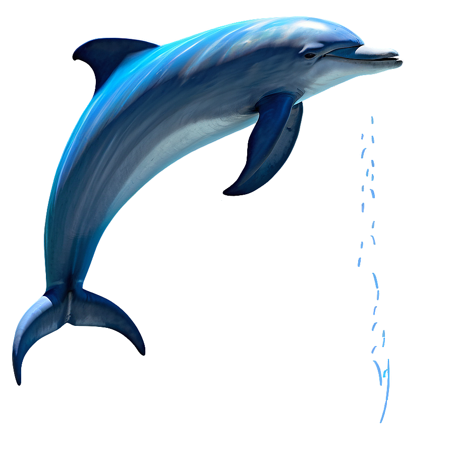 Download Dolphin Tail Png Pvd61 | Wallpapers.com